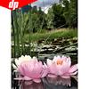 Diamond Embroidery Flower Lotus Full Display Cross Stitch Rhinestones Full Square Diamond Painting