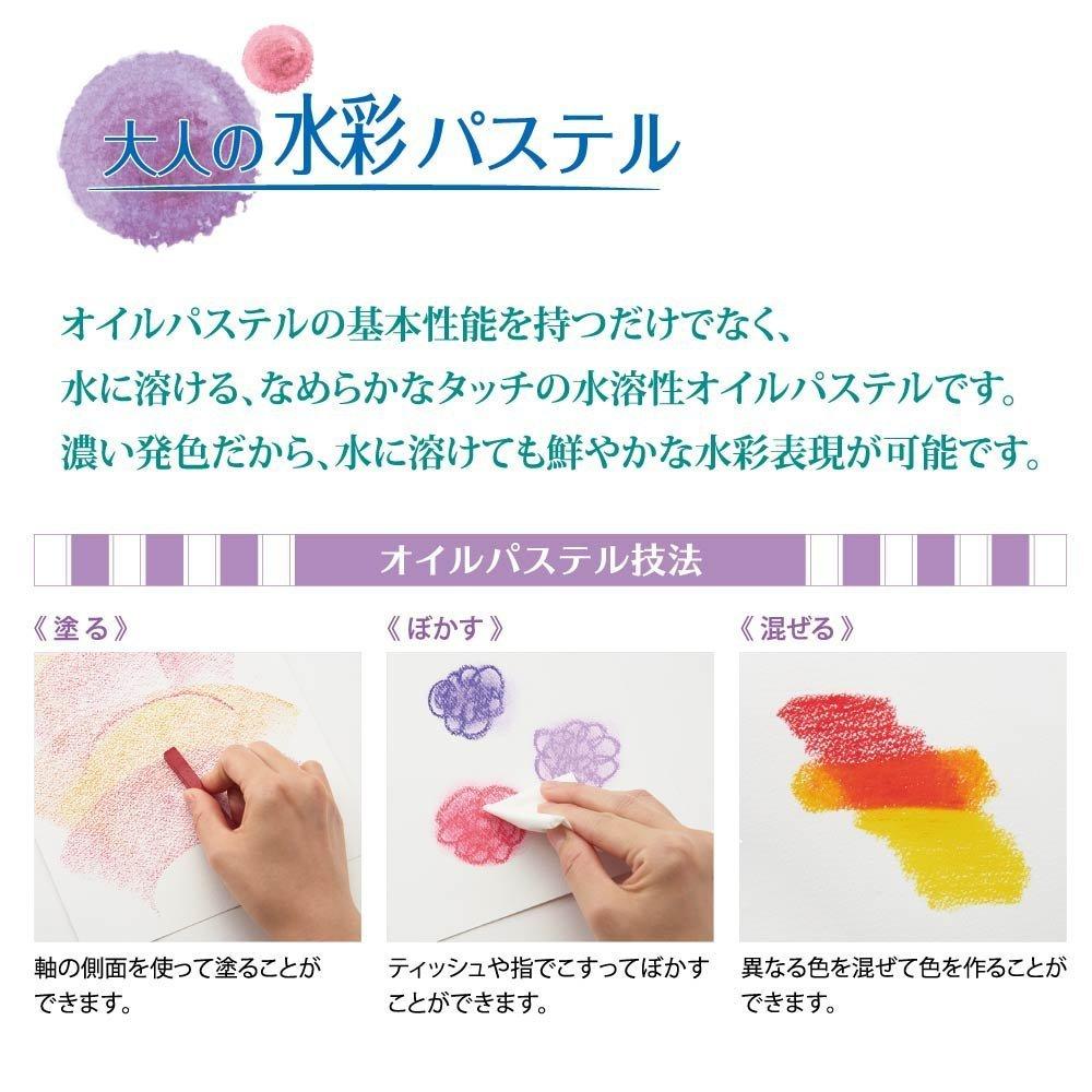 Pentel Watercolor Paste Vistage 36 Colors with Water Brush GHW1-36