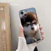 ДЛЯ IPhone милый аляскинский пес Чехол для телефона ДЛЯ IPhone 14 11 12 Pro 8 7 Plus SE X Pro 14 MAX 12 13 MINI XR XS iphone 14 Чехлы для телефона