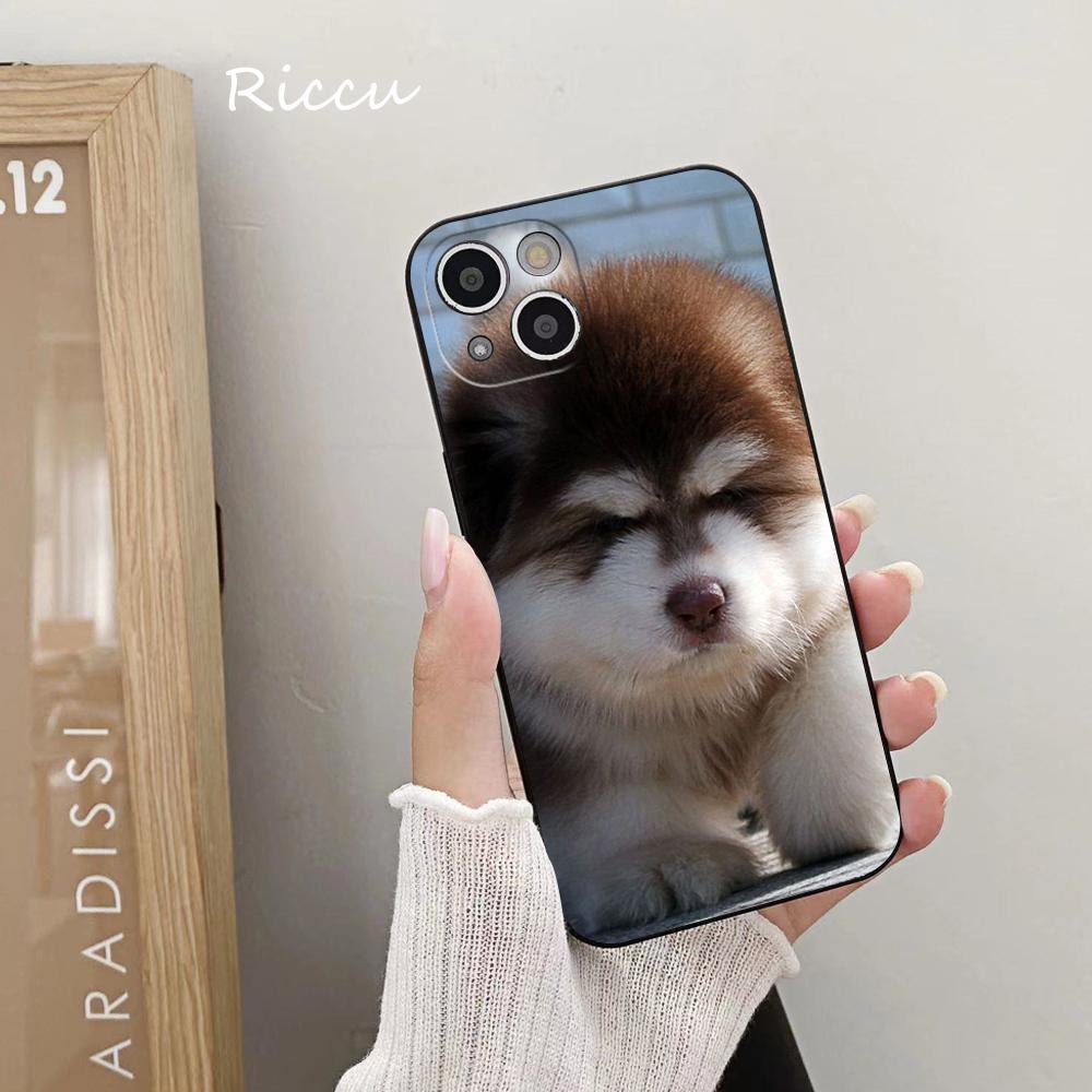 ДЛЯ IPhone милый аляскинский пес Чехол для телефона ДЛЯ IPhone 14 11 12 Pro 8 7 Plus SE X Pro 14 MAX 12 13 MINI XR XS iphone 14 Чехлы для телефона