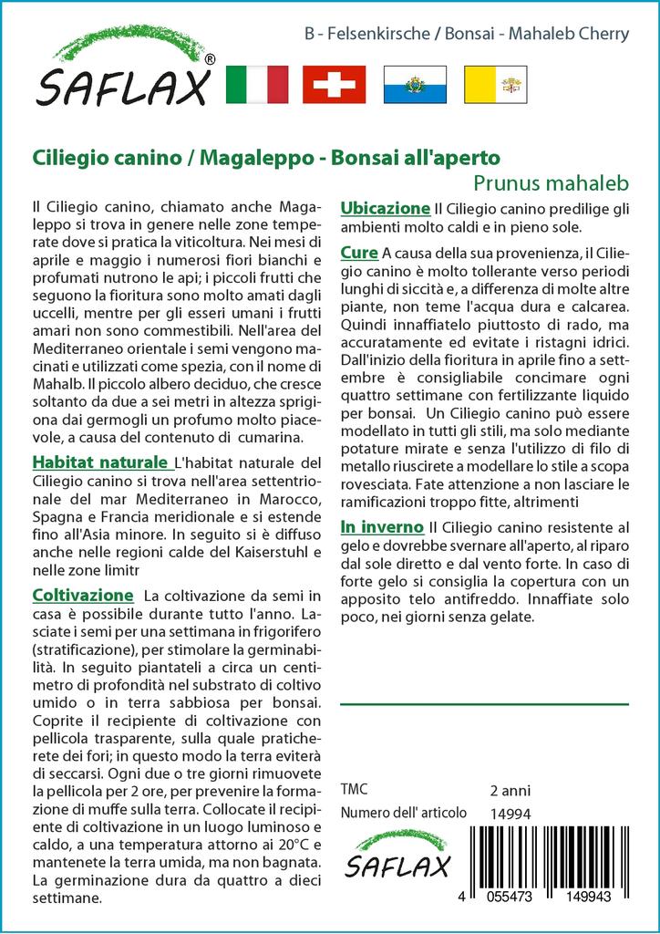 SAFLAX Garden in the Bag - Бонсай - Махалебская вишня - 30 семян - С субстратом в подходящем пакете-стойке - Prunus mahaleb