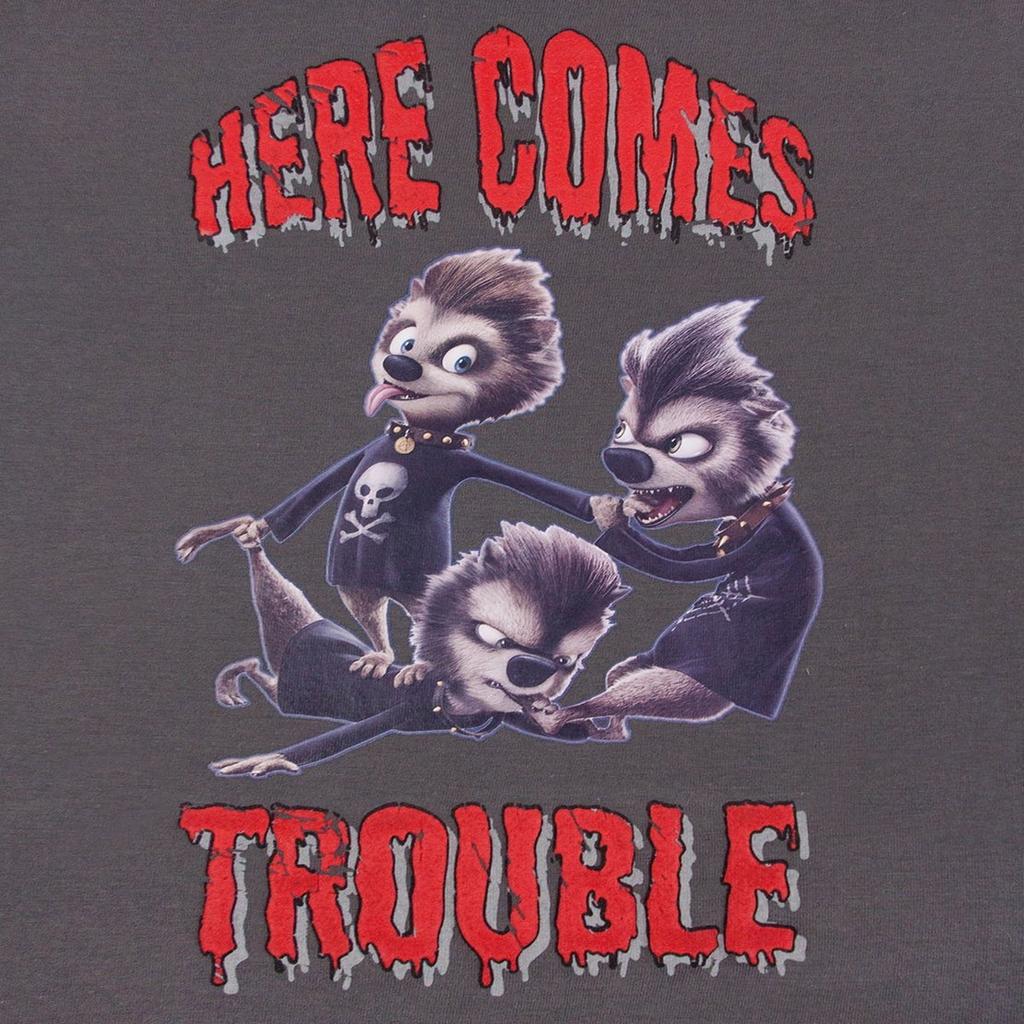 Футболка Hotel Transylvania Boys Here Comes Trouble