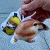 Banana Cat Emoji Bag Fabric Doll Keychains Pendant Abstract and Funny Plush Doll Personalized Pendant