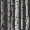 Обои Fine Decor с изображением берез
