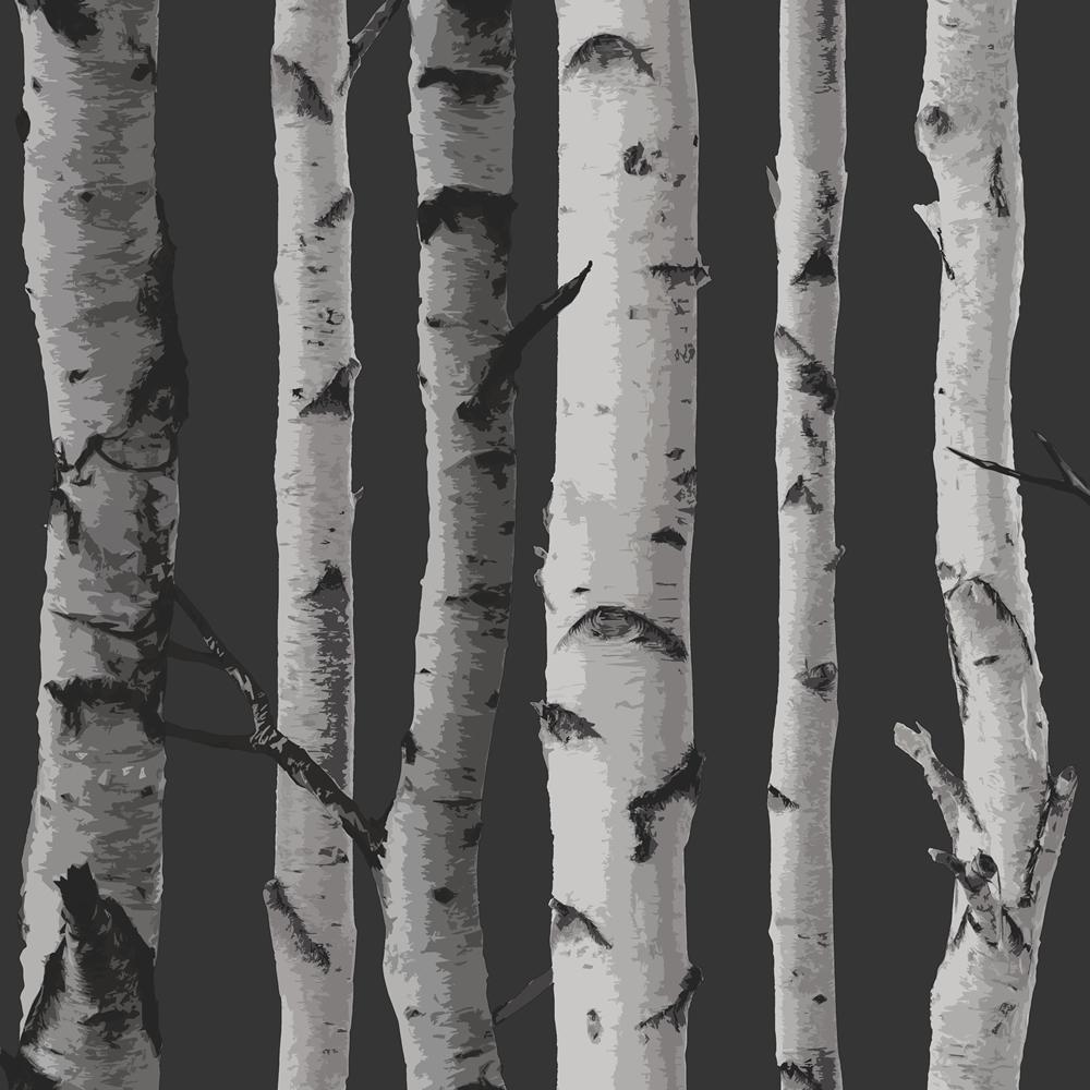 Обои Fine Decor с изображением берез