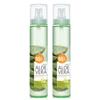 Aloe Vera Moisture Real Soothing Gel Mist, 125ml, 2 Units