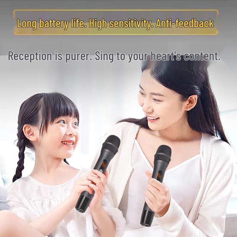 Беспроводная Bluetooth система для домашнего кинотеатра и караоке Newmine AK-600pro