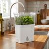 Large Capacity Fresh Herb Keeper Plastic Herb Lettuce Keeper Vanilla Bean Storage Box  Mint