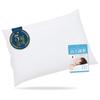 Pipe Hard Pillow, High/Firm Type, Height Adjustable, Made In Japan, No Pillowcase (Nude, 43x63cm)