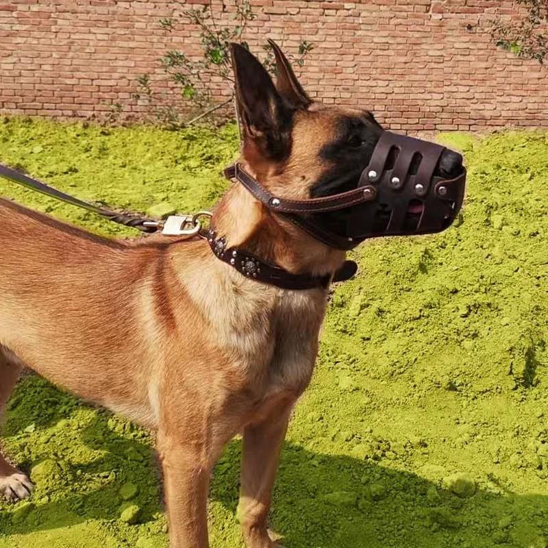 Adjustable Leather Dog Muzzle Training Bite Prevention Barking Control L XL XXL Sizes