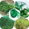 Anti Bird Netting Garden Netting Mesh Insect Net Garden Protection Crops Fruit Plant Covers Net Mesh Grow Fence Climbing Big Net