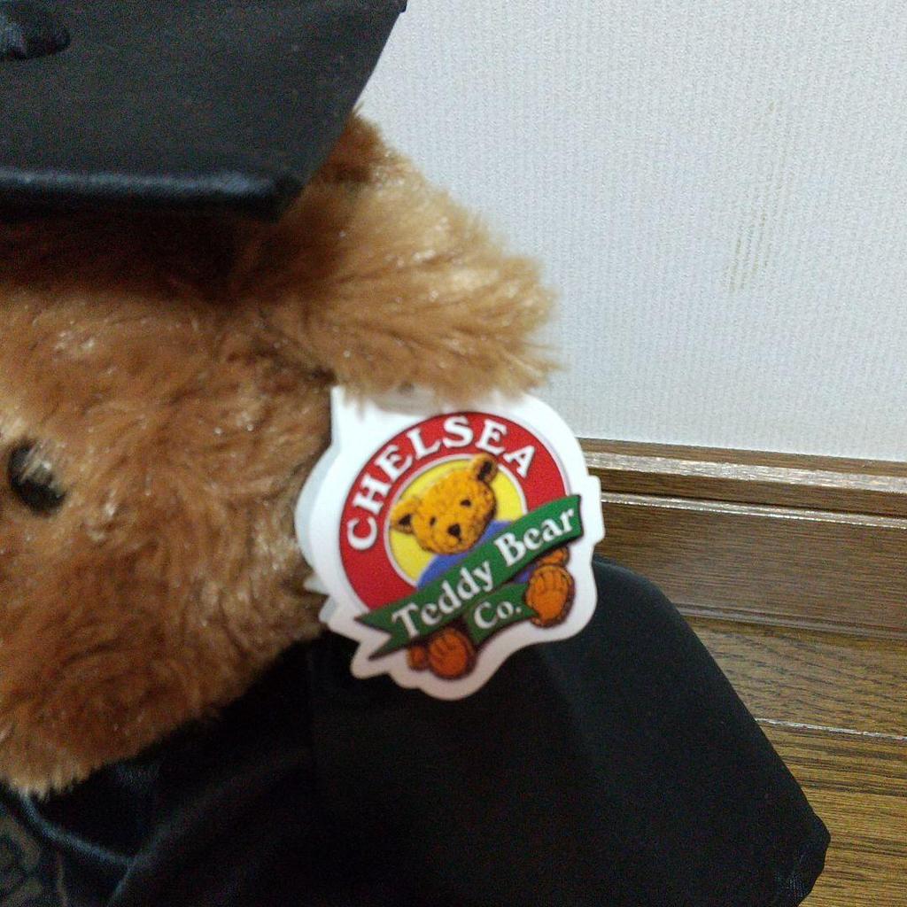 [USED] Teddy Bear Cambridge Official UK