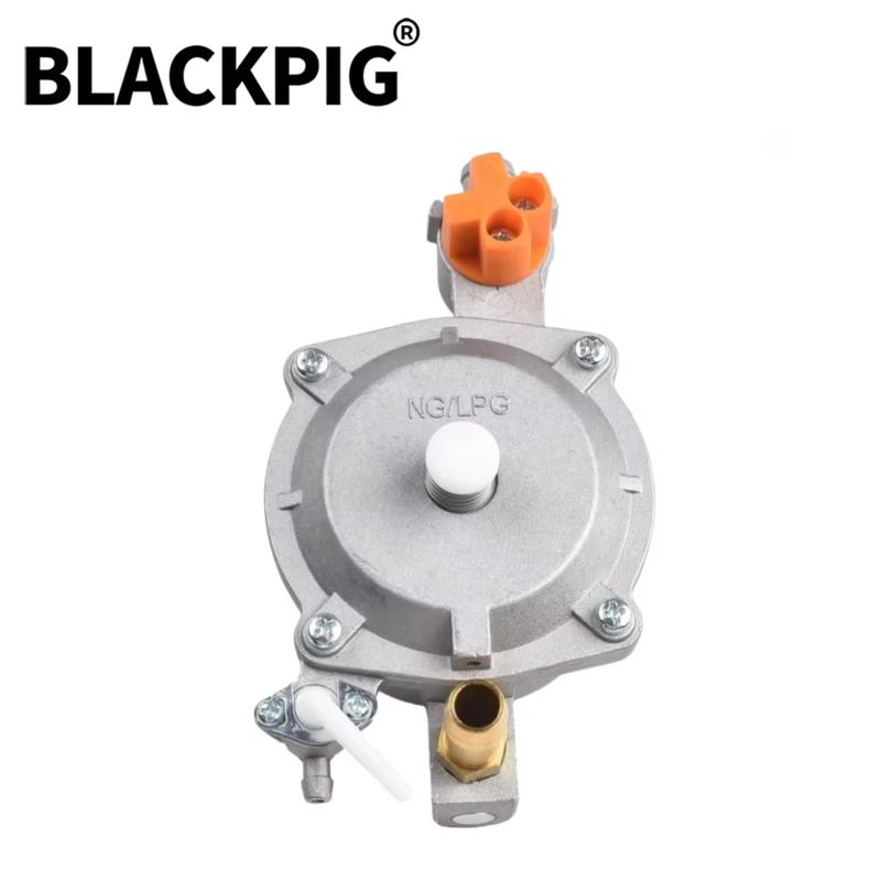 GT241 154F Engine LPG Dual Fuel Carburetor Reducer Assy Gasolina Petrol Generator Parts