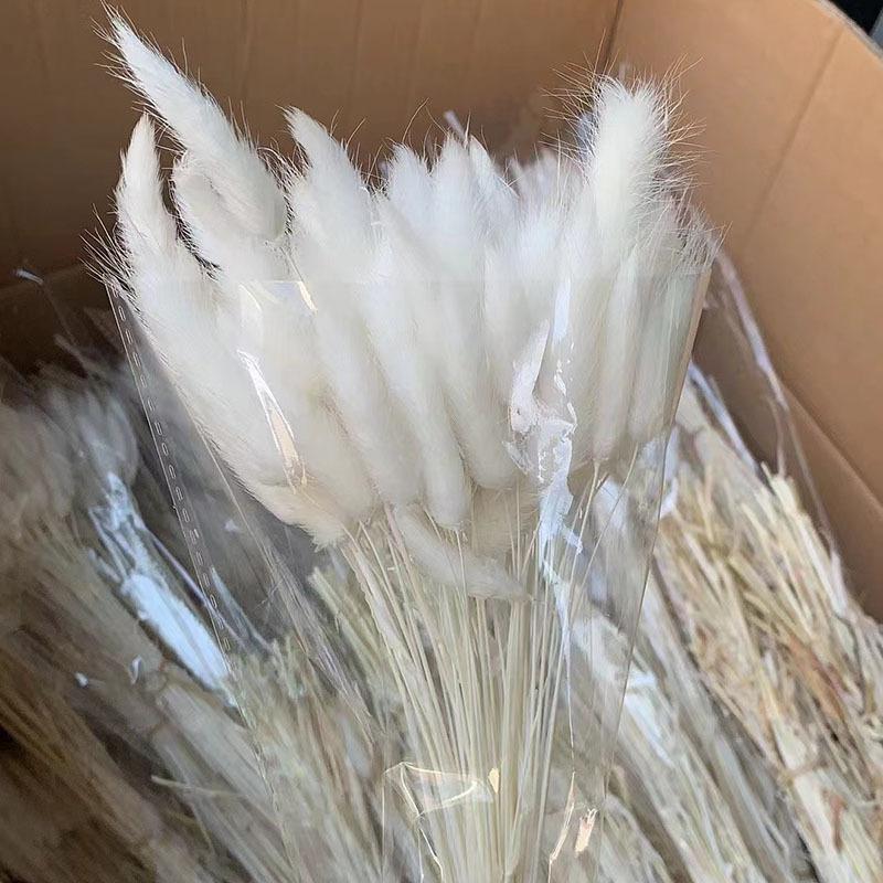 Source Yunnan Dried Flower Bouquet Combination, Real Flower Pampas Grass Home Decoration Reed Rabbit Tail Grass Dried Flowers
