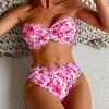 2025 Европейский и американский принт Женский сексуальный купальник бикини для пляжа и горячего источника