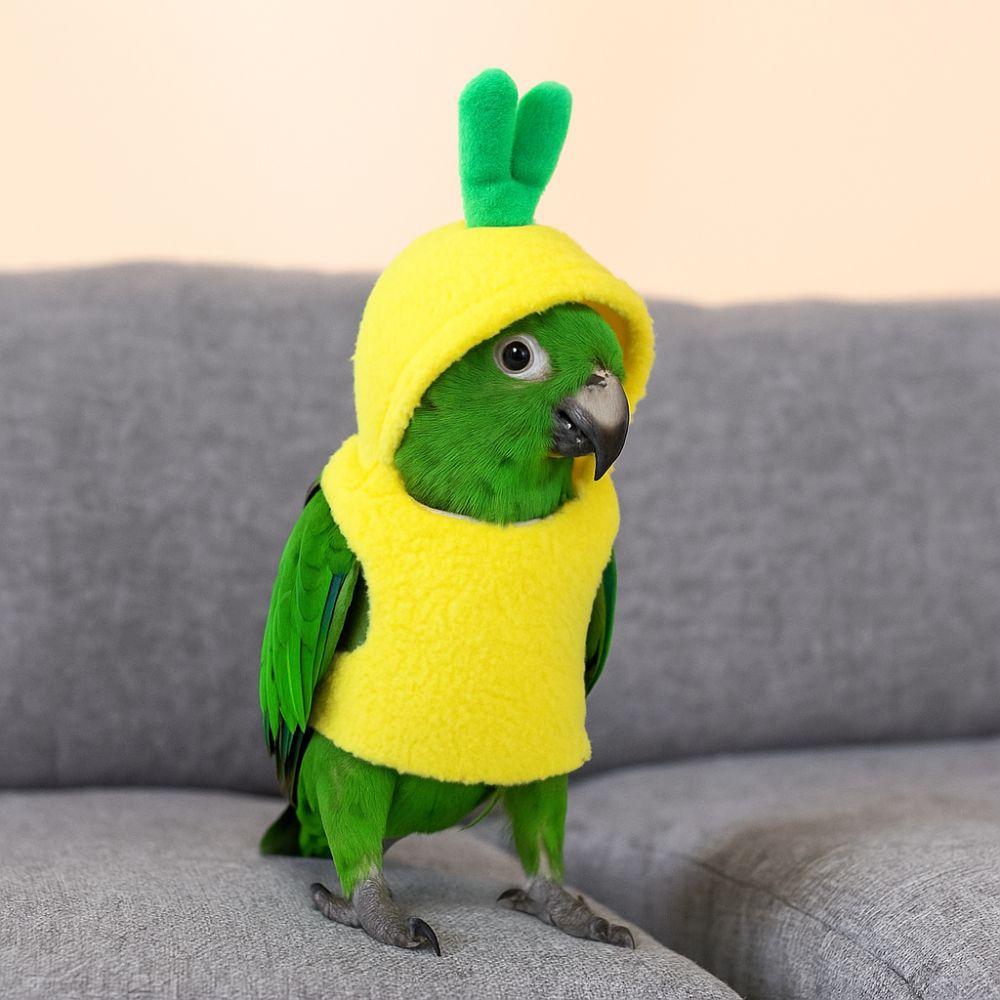 Мягкая одежда для попугая-ананаса Теплый худи-костюм попугая Накидка на голову попугая Костюм попугая Выставка домашних животных