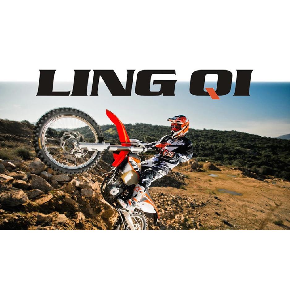 LINGQI Side fender for Second-Generation Longer Rear Fender Fit to Light Bee X and S.