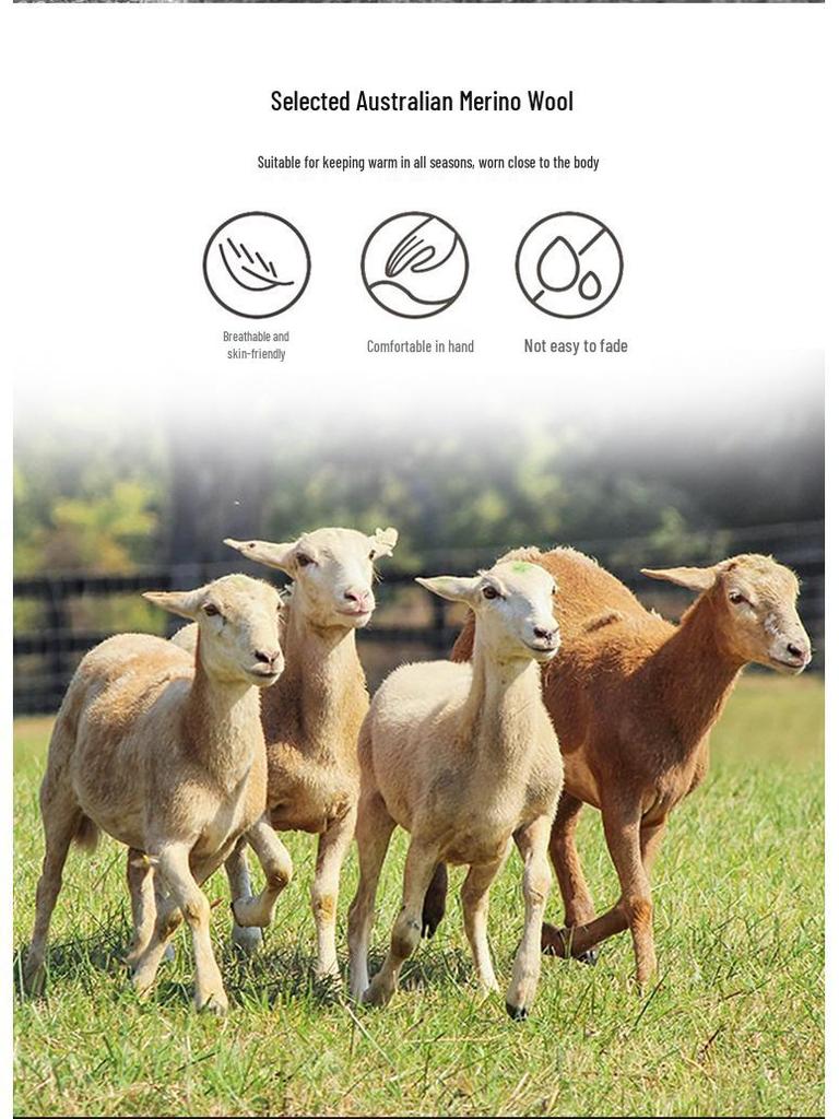 Unisex Mugwort & Cashmere Waist Support Belt: Warm Abdominal Wrap & Stomach Protector for Cold Protection.