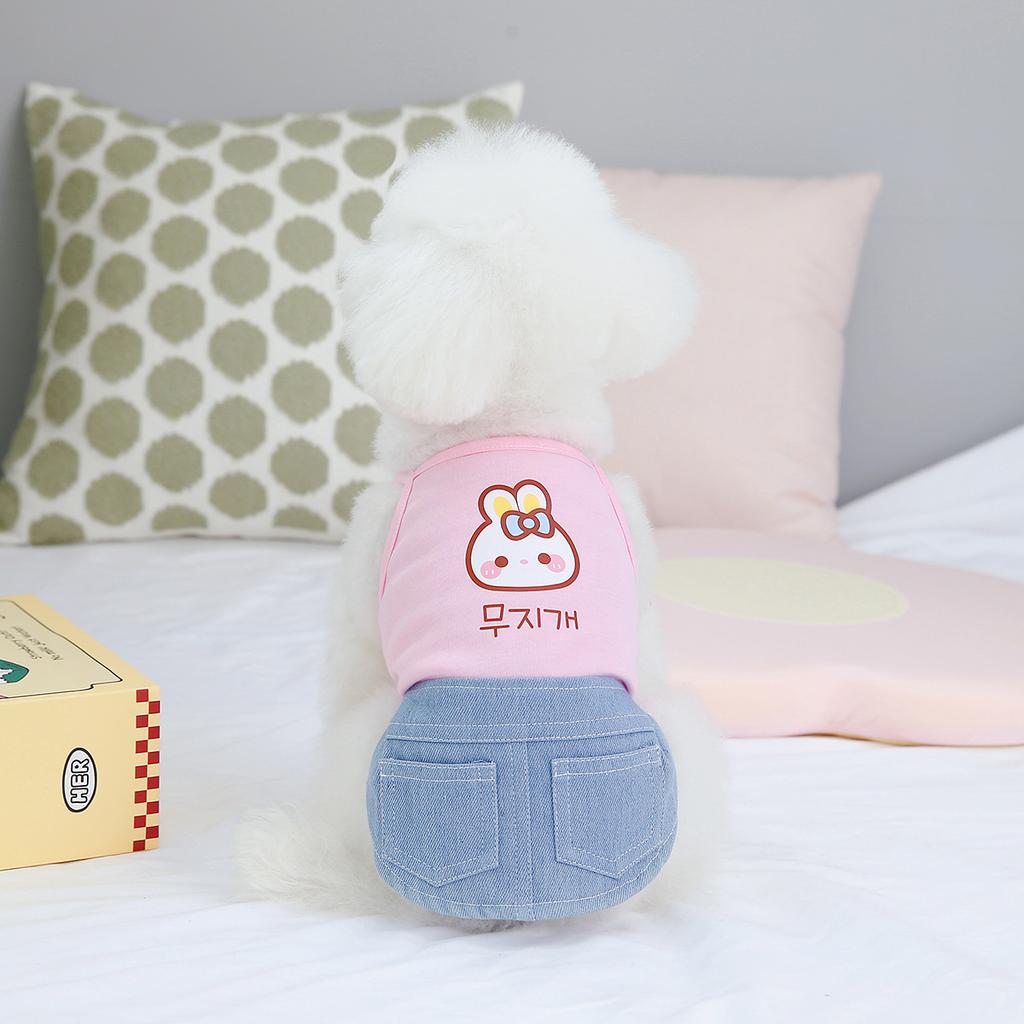 Весенне-летняя новая одежда для домашних животных, одежда для собак, весенне-летняя одежда для домашних животных, плюшевая юбка, джинсовая юбка с карманами, платье для собаки