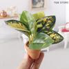 1Pcs 1/12 Miniature Plant Potted Model Garden Green Plant Ornaments Dollhouse Simulation Plant Decoration Toy