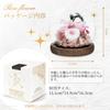 SENJWARM Preserved Flowers Birthday Gift for Women Japanese Style Glass Dome Flower Arrangement Wrapped Popular Popular Day White 60th Respect for the