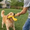 EVA Pet Interactive Flying Disc Wear-Resistant Dog Training Toy Creative Tooth Chew Toy  Backyard