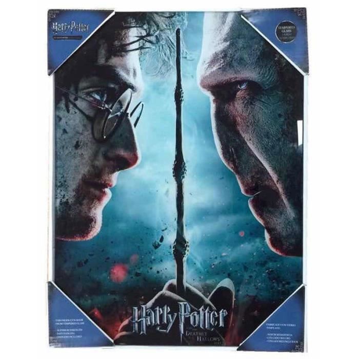 Affiche en verre - SD Toys - Harry Potter vs Voldemort - Noir - Rectangulaire - Intérieur