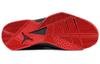 Jordan True Flight Черный/Красный Gym Металлик Серебристый 342964-001