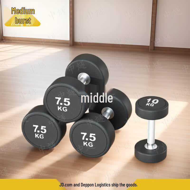 ZhongSui Commercial Gym Dumbbell Set