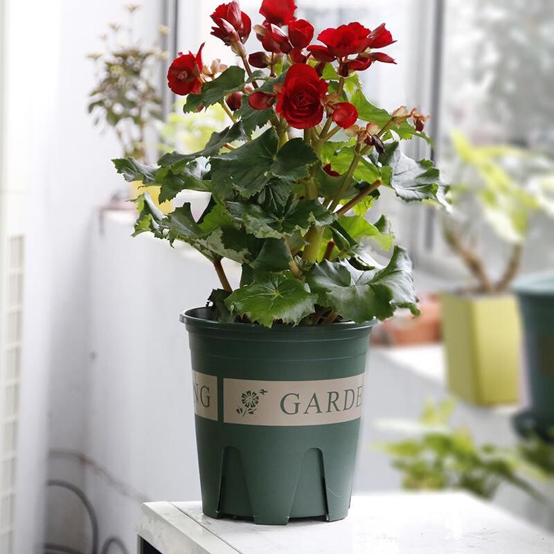 Breathable Root Control Plastic Planter