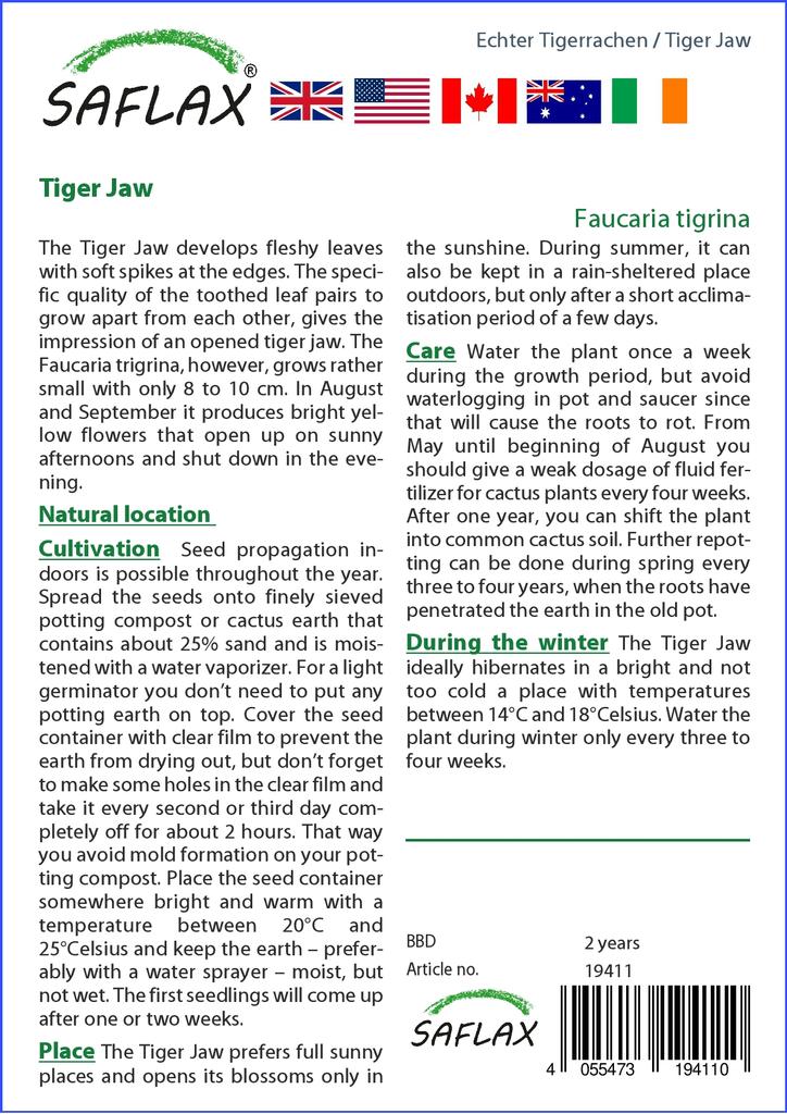 SAFLAX Tiger Jaw - 40 семян - Faucaria tigrina