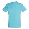 Unisex Adult Regent T-Shirt