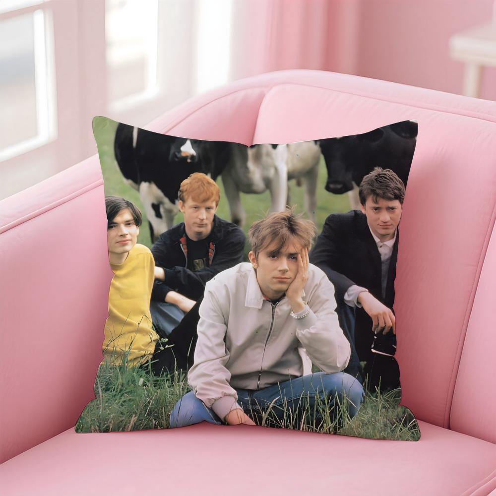 BBlur Cushion Cover Pillow Case Soft Friendly Fabric Concealed Zipper