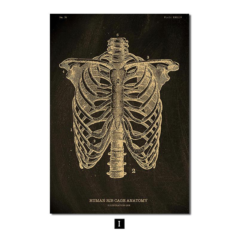 Анатомия человека, винтажный постер, скандинавский холст, художественный принт, золотой скелет, органы, живопись, настенные панно, медицинский домашний декор