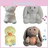 Adorable Breathing Light Bear Soothing Sleep Music Plush Toy For Babies And Toddlers