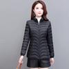 Women's New Cotton-padded Clothes Are Light and Warm In Winter, Small Cotton-padded Jackets, Large Size, Slim and Thin Short Cotton-padded Clothes.