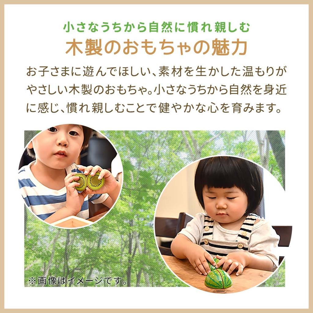 RiZKiZ Магнитный встроенный деревянный игровой домик с ассорти из фруктов и овощей, игровой домик с магнитом, всего 16 деревянных коробок для резки, обучающий набор игрушек,