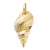 [Q7599] - Позолоченный кулон «Ракушка» - 17x9 мм