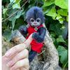 8-дюймовый неокрашенный набор для кук-реборнов Анна Банана Милая кукла-обезьянка Детали с телом и глазами Ручная работа Игрушки для детей