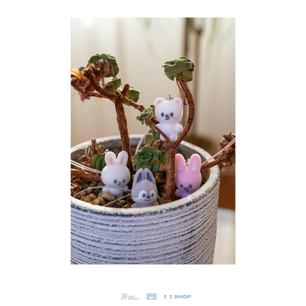 [предзаказ] Stray Kids SKZOO СЕКРЕТНЫЙ МИНИ-ШАРМ, ПЛЮШЕВЫЙ КОЛЛЕКЦИОННЫЙ КЕЙС SKZOO STAY в Нашем Маленьком Домике