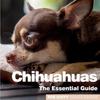 Книга Chichuahuas The Essential Guide by UNKNOWN - Paperback