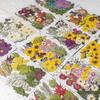 BIG Series: Real Dried Flower Embossing Material Pack for Resin, Phone Cases, Handmade Crafts, Bookmarks, and Leaf Specimens