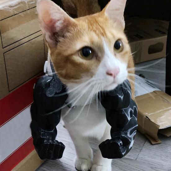 Yousheng Cat Muscle Arm 3D Printed Neck Arm with Muscle Pet Cosplay Costume Accessories for Halloween Birthday Party Supplies