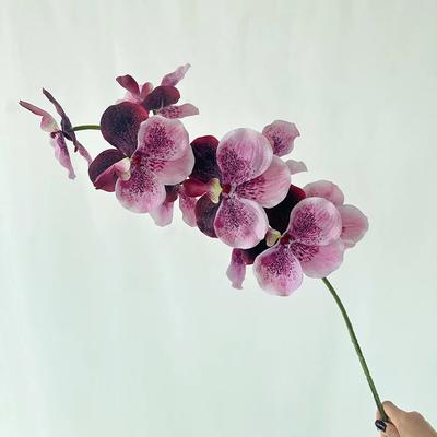 4 шт. Искусственный 9 головок Фаленопсис Шелковый цветок для украшения дома Искусственные цветы Орхидея-бабочка Вечеринка Свадьба Цветочные украшения