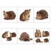 Vivid And Realistic Wild Hedgehog Model Perfect For Desktop Decoration And Play