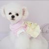 Pet Dog Winter Warm Cotton Dress Set Princess Style Fake Two-Piece Outfit Small Breeds Bichon Teddy