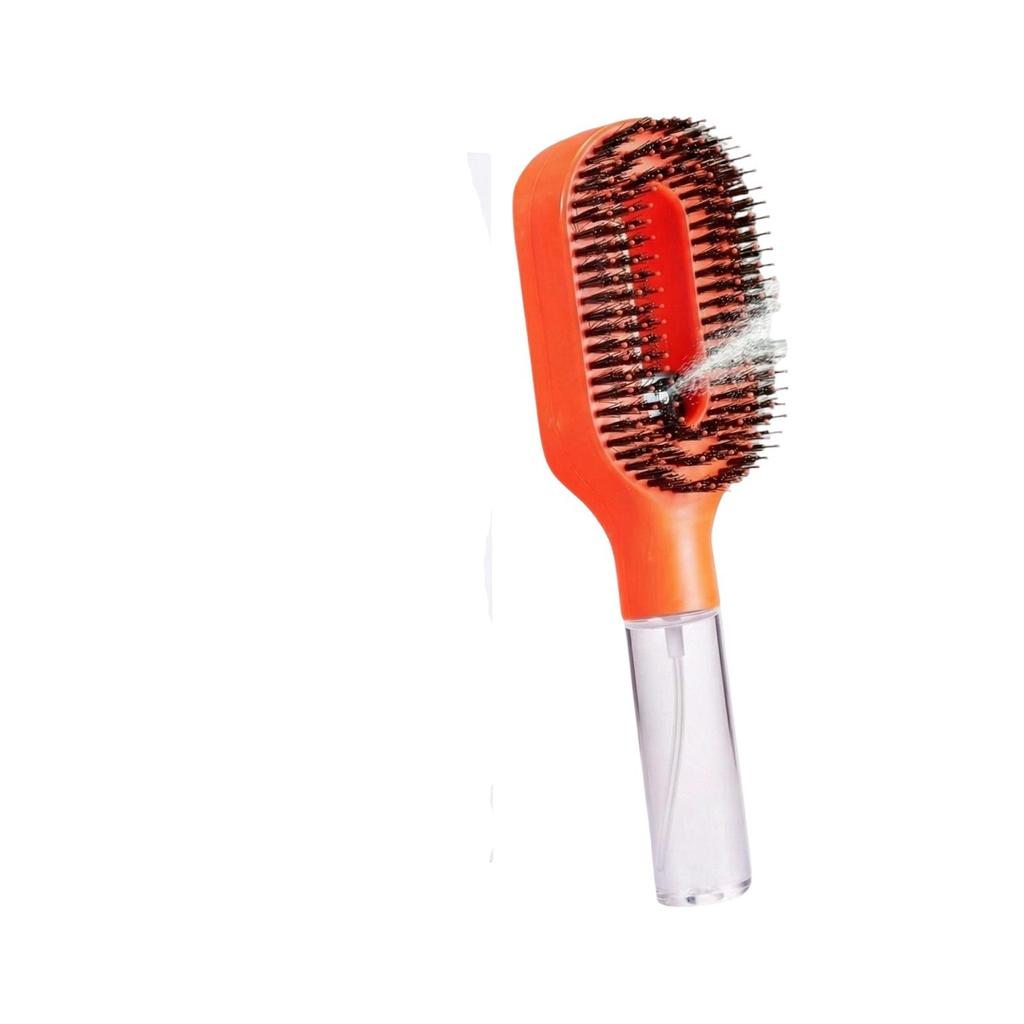 Water-Spray Hairbrush With Handle, One- Spray, -Frizz Hairbrush