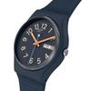 Кварцевые часы Swatch Gent SO28I700