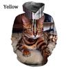 Cute Cat Pattern 3D Printing Hoodies For Men Women Hipster Funny Cats Pullover Sweatshirts Hoodies Casual Streetwear Tops
