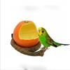 Parrot Feeding Box Spill-proof Food Box Splash-proof and Anti-planing Feeder